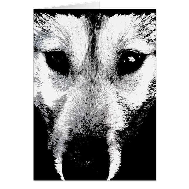 Cartão Siberian Husky Malamute Wolf Dog Card (Frente)