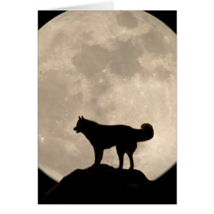 Cartão Siberian Husky Malamute Wolf Dog Card