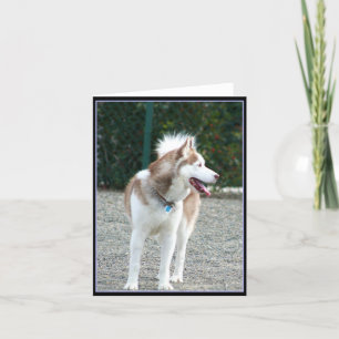 Cartão Siberian Husky Notecard
