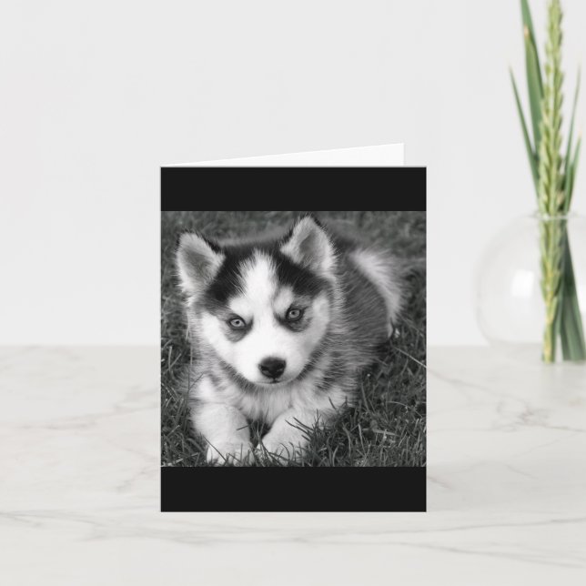 Cartão Siberian Husky Puppy Dog Blank Greeting Note Card (Frente)