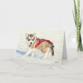 Cartão Siberian Husky Puppy Na Neve