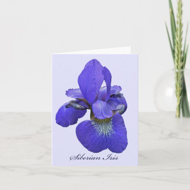Cartão Siberian Iris Note Card (Frente)