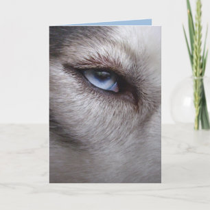 Cartão Siberiano Husky para o trabalhador Malamut