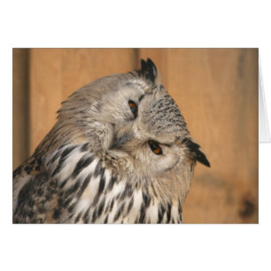 Cartão Sibiricus do bubão do bubão