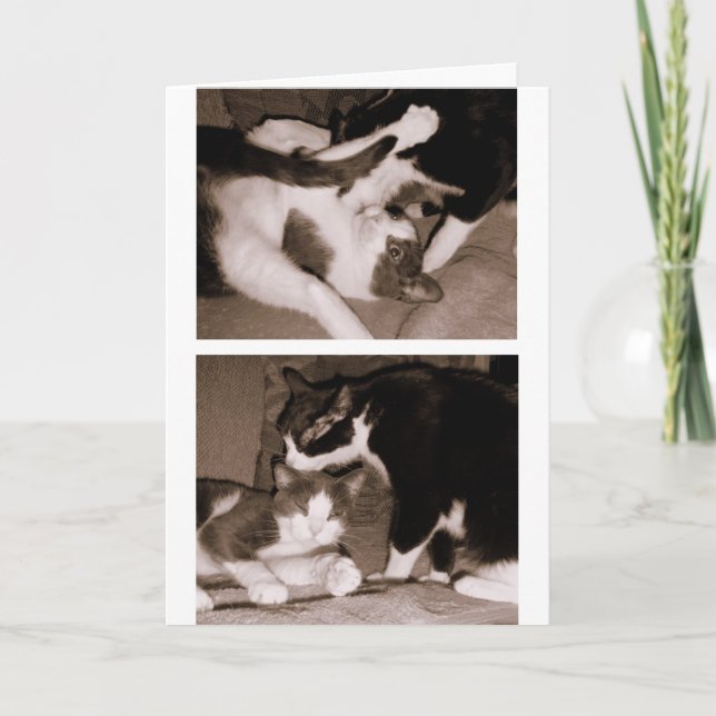 Cartão Siblings - Brothers & Sisters (Frente)