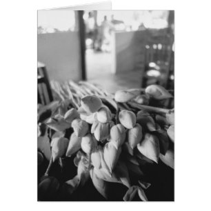 Cartão Siem Reap Camboja, Flores de Lótus