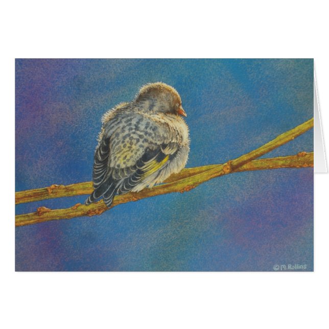 Cartão Siesta de Siskin (Frente Horizontal)