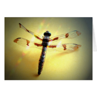 Cartão Siga a luz - Dragonfly apenas