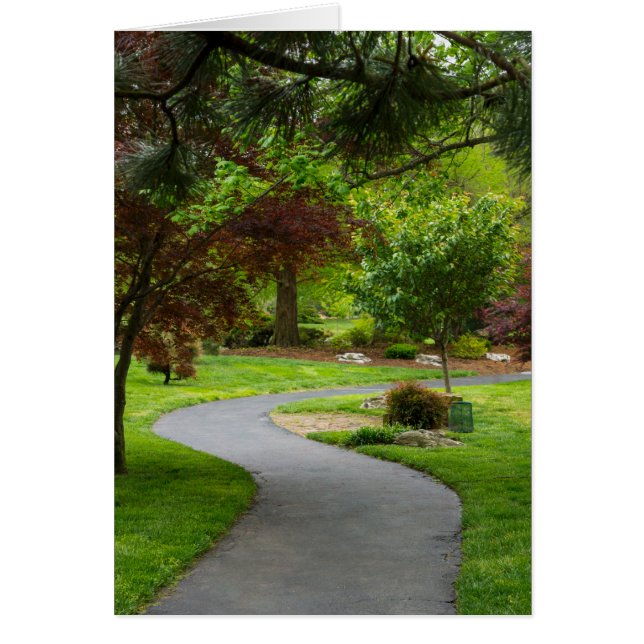 Cartão Siga o caminho (Frente)