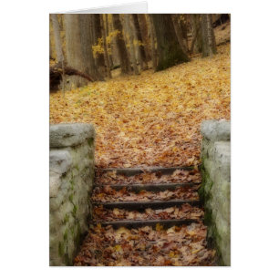 Cartão Siga o caminho