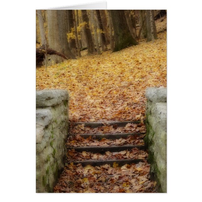 Cartão Siga o caminho (Frente)