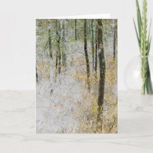 Cartão "Silêncio" - Foto transformada de árvores em uma f