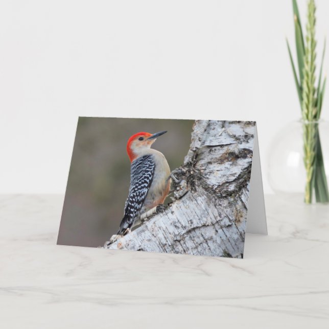 Cartão Silent wonders blank greeting card (Frente)