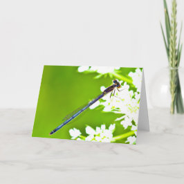 Cartão Silent wonders blank greeting card Dragonfly