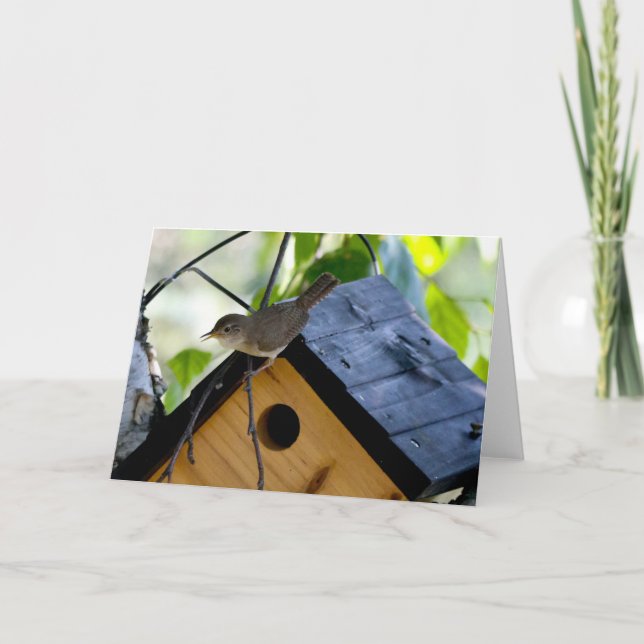 Cartão Silent wonders blank greeting card Wren (Frente)