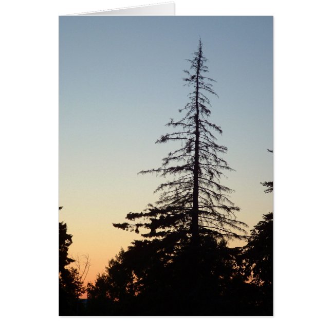 Cartão Silhouette (Frente)