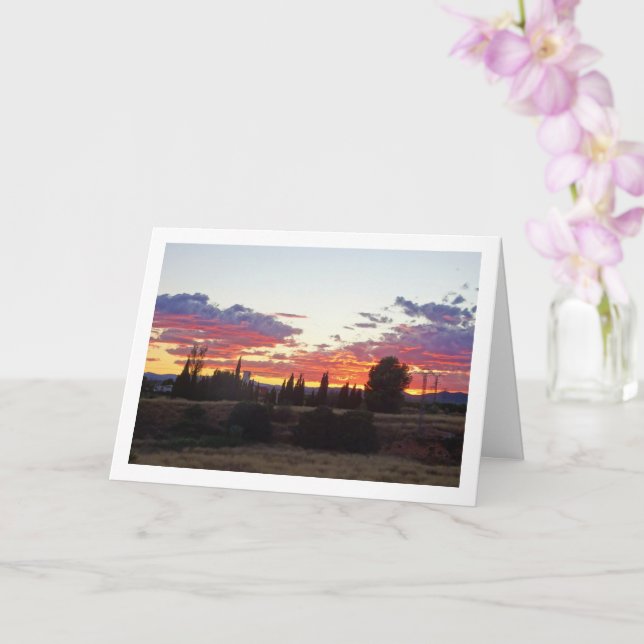 Cartão Silhouette à noite Sunset (Orquídea)
