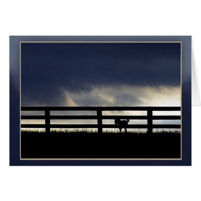 Cartão Silhouette de Fazenda Stallion (Frente Horizontal)