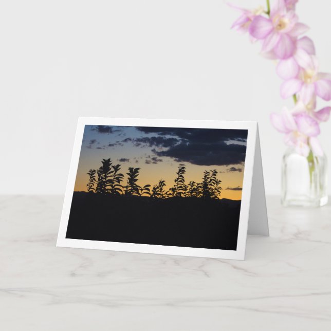 Cartão Silhouette of Leaves at Night (Orquídea)