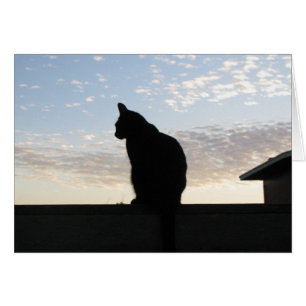 Cartão Silhueta bonita do gato no por do sol