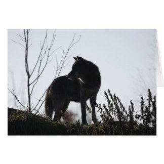 Cartão silhueta do lobo