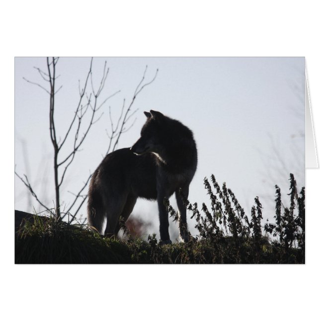 Cartão silhueta do lobo (Frente Horizontal)