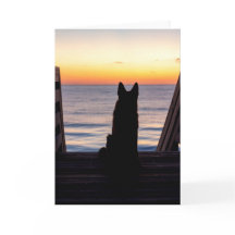Silhueta german shepherd Pouco Antes Do Sol