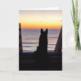 Cartão Silhueta german shepherd Pouco Antes Do Sol
