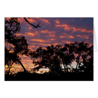 Cartão Silhuette Sunset