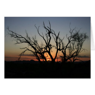 Cartão Silhuette Sunset