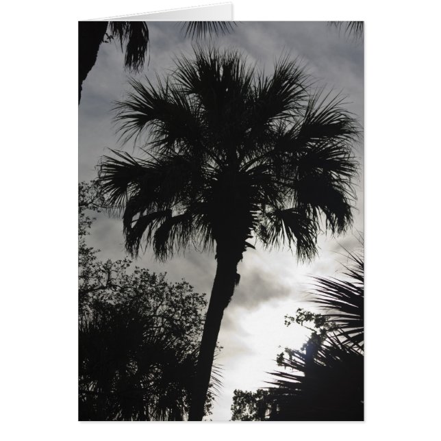 Cartão Silhuette tropical (Frente)