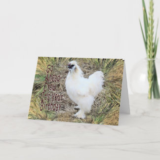Cartão Silkie Rooster