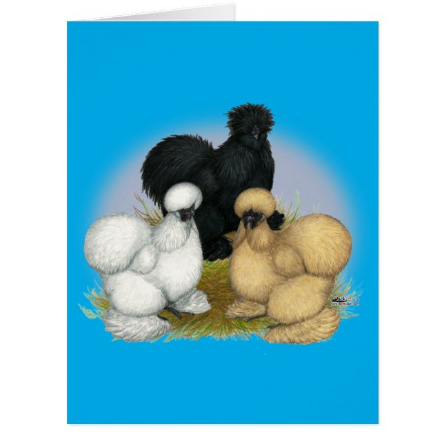 Cartão Silkie Trio (Frente)