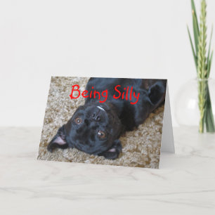 Cartão Silly Buggs dog, customize any occasion