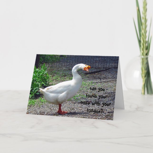Cartão Silly Goose Birthday Greeting Card (Frente)