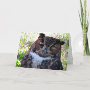 Cartão Silly Owl Greeting Card