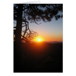 Cartão silouettes solares 2