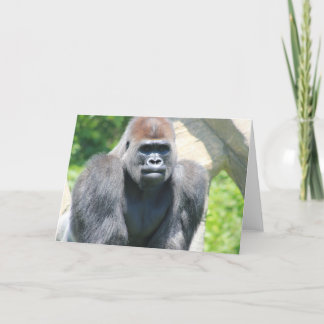 Cartão Silver Back Gorilla
