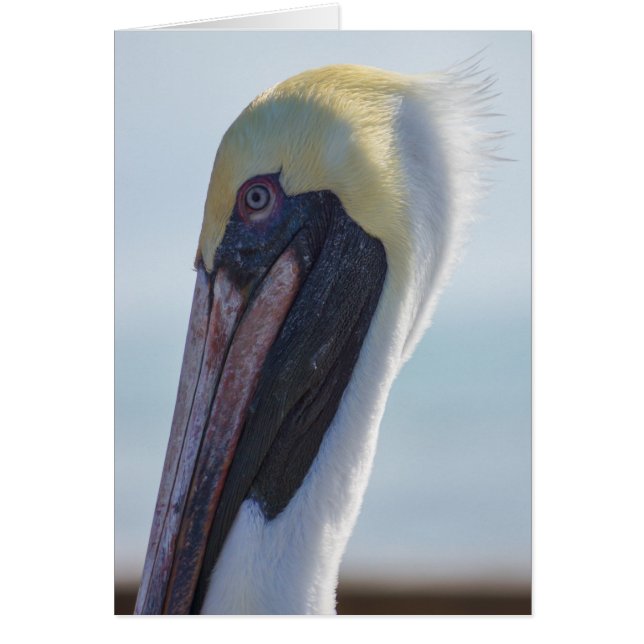 Cartão Sim, sou linda (Frente)