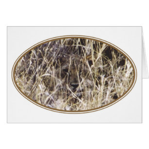 Cartão Simba camuflado (leão)