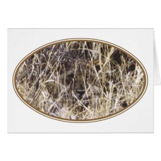 Cartão Simba camuflado (leão)