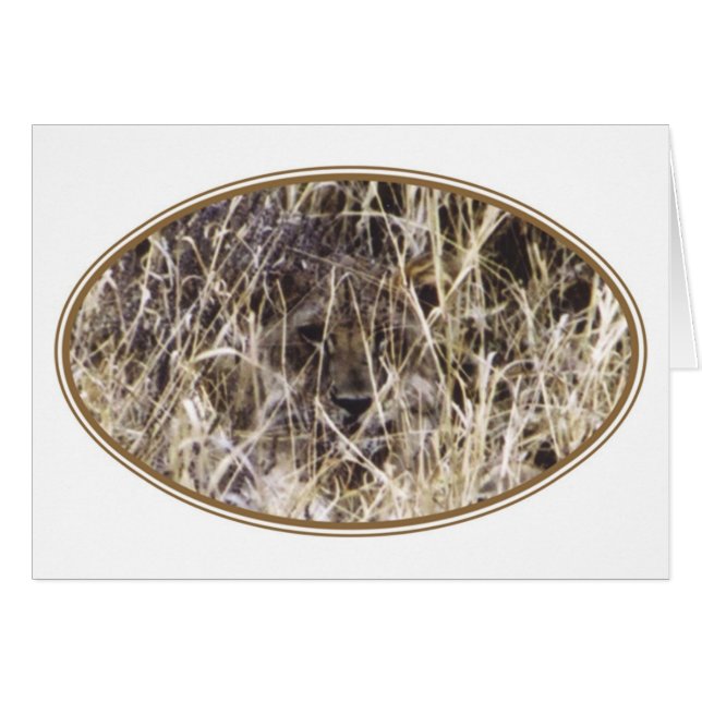 Cartão Simba camuflado (leão) (Frente Horizontal)