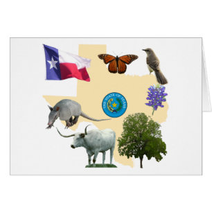 Cartão Símbolos de estado de Texas