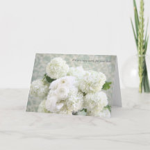 Simpatia branca do ranúnculo e dos hydrangeas