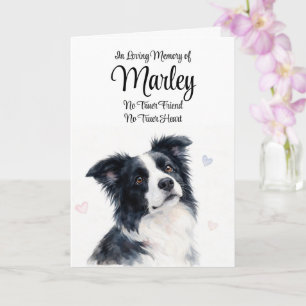 Cartão Simpatia Canina Nome Personalizado Border Collie