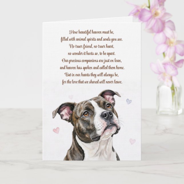 Cartão Simpatia Canina Pitbull Perda Espiritualidade (Orquídea)