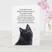 Simpatia Canina Schipperke Perda Espiritual