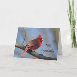 Cartão Simpatia Cardinal Red Songbird