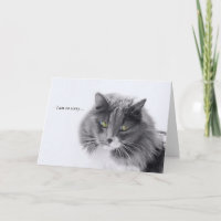 Simpatia Cat Minimalística