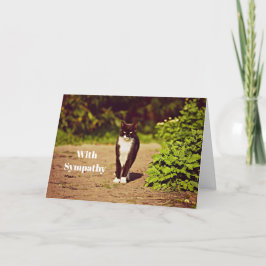 Cartão Simpatia de Foto de Gato de Tuxedo Branco e Preto